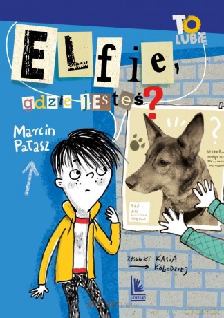 Elfie, gdzie jesteś? - Marcin Pałasz, Katarzyna Kołodziej [KSIĄŻKA]
