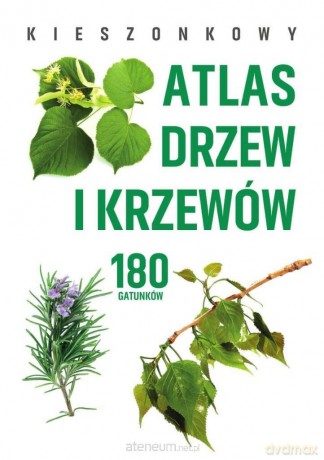 Kieszonkowy atlas drzew i krzewów. 180 gatunków - Aleksandra Halarewicz [KSIĄŻKA]