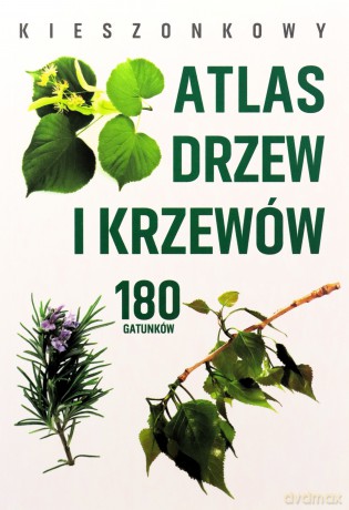 Kieszonkowy atlas drzew i krzewów. 180 gatunków - Aleksandra Halarewicz [KSIĄŻKA]