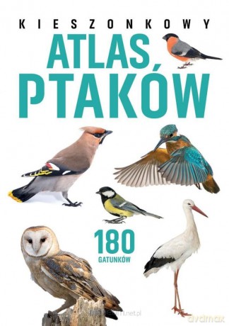 Kieszonkowy atlas ptaków. 180 gatunków - Jan Król [KSIĄŻKA]