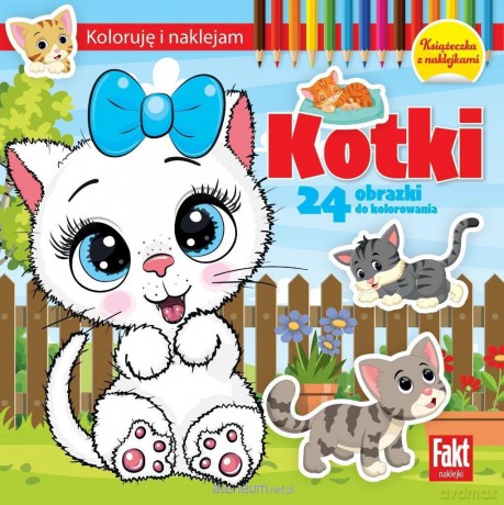 Kotki [KSIĄŻKA]