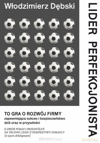 Lider perfekcjonista - Włodzimierz Dębski [KSIĄŻKA]