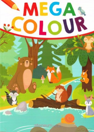 Mega Colour [KSIĄŻKA]