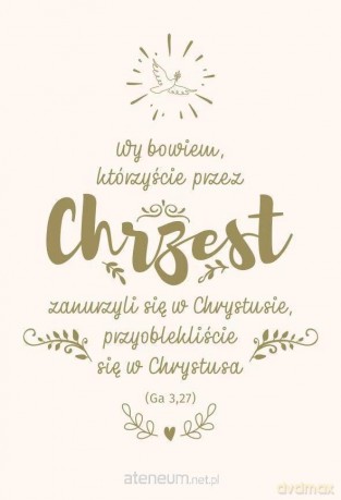 Nowy Testament z infografikami B5 srebrne tł. Chrzest [KSIĄŻKA]