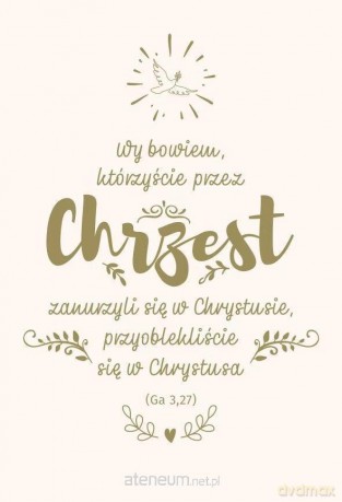 Nowy Testament z infografikami B5 złote tł. Chrzest [KSIĄŻKA]