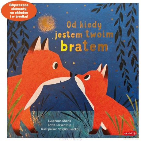 Od kiedy jestem twoim bratem - Susannah Shane, Britta Teckentrup [KSIĄŻKA]