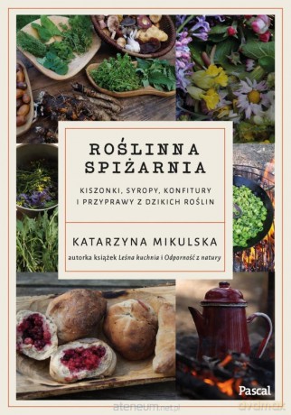 Roślinna spiżarnia. Kiszonki, syropy, konfitury... - Katarzyna Mikulska [KSIĄŻKA]