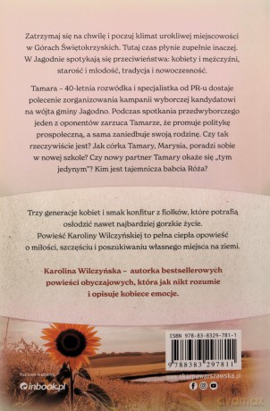 Stacja Jagodno. Zaplątana miłość (barwione brzegi) - Karolina Wilczyńska [KSIĄŻKA]