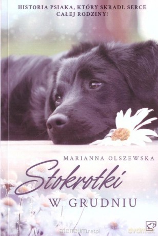 Stokrotki w grudniu - Marianna Olszewska [KSIĄŻKA]