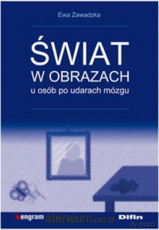 Świat w obrazach u osób po udarach mózgu DIFIN [KSIĄŻKA]