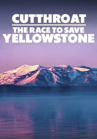 Cutthroat: The Race to Save Yellowstone [DVD]