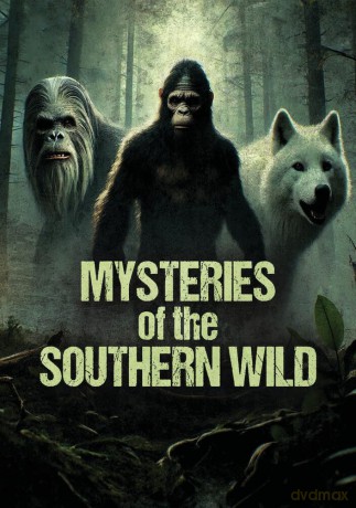 Mysteries of the Southern Wild [DVD]