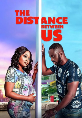The Distance Between Us [DVD]