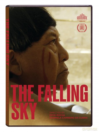 The Falling Sky [DVD]
