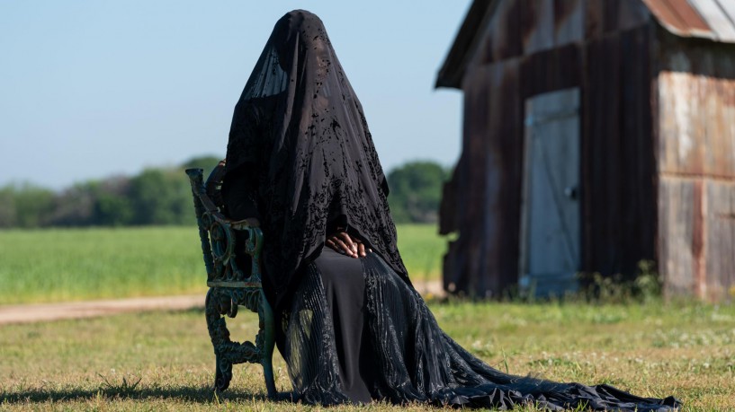 The Woman in the Yard [Blu-Ray]