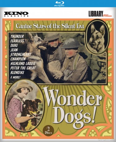 Wonder Dogs! [2xBlu-Ray]