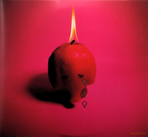 Arcade Fire: Pink Elephant [CD]