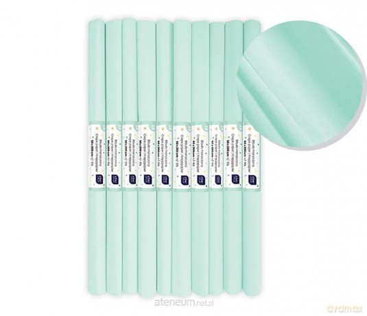 Bibuła marszczona nr 38 miętowy pastel (10szt)