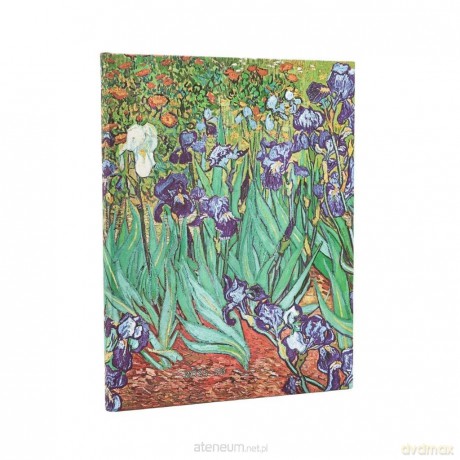 Kalendarz książkowy ultra 25/26 18M Van Gogh's [KALENDARZ]