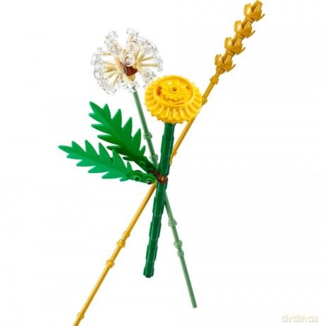 LEGO Botanicals Kwiaty Polne (30701) [KLOCKI]