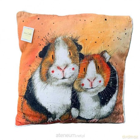 Poduszka CU53 Świnki morskie