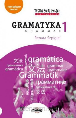 TESTUJ SWÓJ POLSKI Gramatyka 1 [KSIĄŻKA]