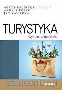 Turystyka Wybrane zagadnienia [KSIĄŻKA]