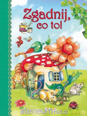 Zgadnij, co to! [KSIĄŻKA]