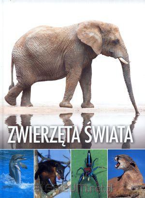 Zwierzęta świata [KSIĄŻKA]