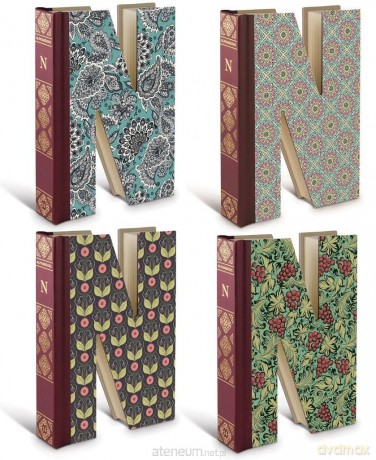 Alphabooks Notatnik litera - N
