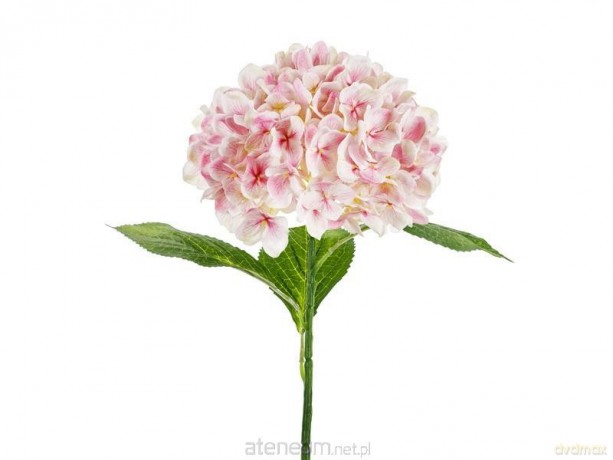 Hortensja Premium różowa 69cm