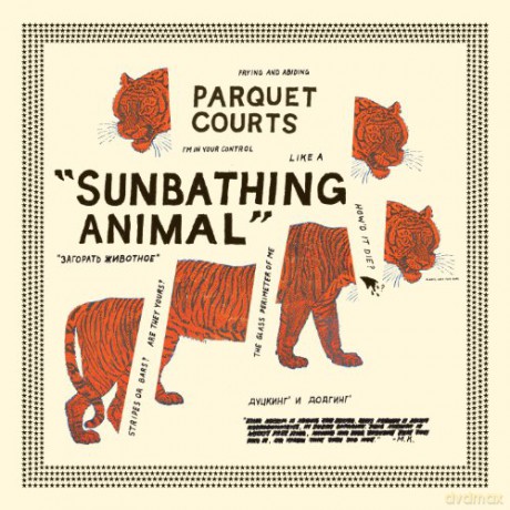 Parquet Courts: Sunbathing Animal [CD]