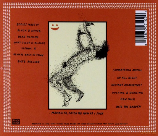 Parquet Courts: Sunbathing Animal [CD]
