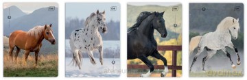 Zeszyt A5/32K 3kol linia 70g UV Wild Horses(10szt)