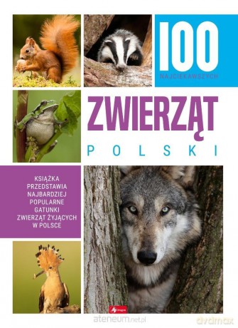 100 najciekawszych zwierząt Polski [KSIĄŻKA]