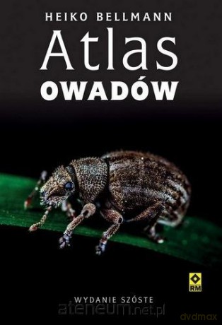 Atlas owadów - Heiko Bellmann [KSIĄŻKA]