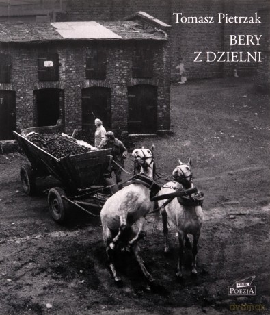 Bery z dzielni - Tomasz Pietrzak [KSIĄŻKA]