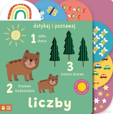 Dotykaj i poznawaj. Liczby - Sally Payne [KSIĄŻKA]