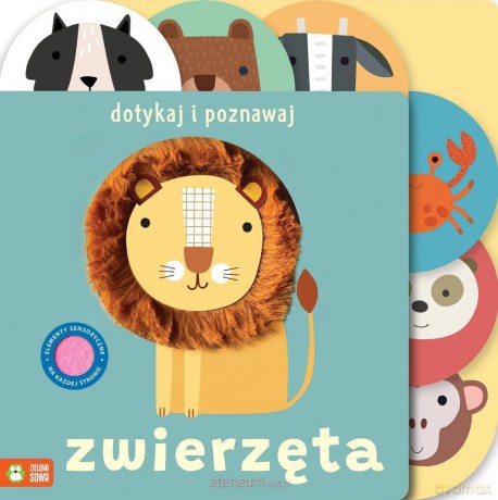 Dotykaj i poznawaj. Zwierzęta - Sally Payne [KSIĄŻKA]