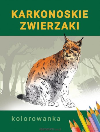 Kolorowanka Karkonoskie zwierzaki [KSIĄŻKA]