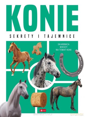 Konie - Anna Willman [KSIĄŻKA]