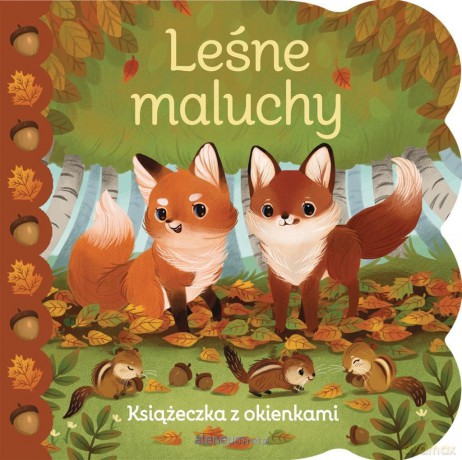 Leśne maluchy. Książeczka z okienkami - Ginger Swift, Olivia Chin Mueller [KSIĄŻKA]