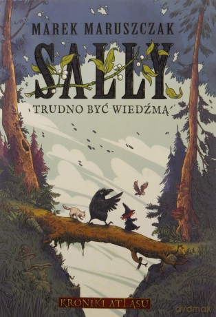Sally. Trudno być wiedźmą - Marek Maruszczak [KSIĄŻKA]
