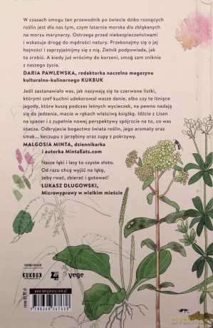 Zielnik - Lisen Sundgren [KSIĄŻKA]