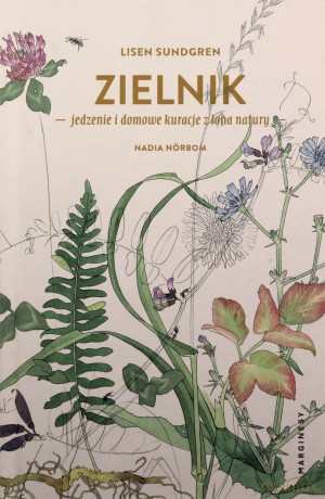 Zielnik - Lisen Sundgren [KSIĄŻKA]