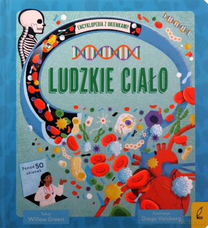 Encyklopedia z okienkami. Ludzkie ciało. Encyklopedia z okienkami - Willow Green [KSIĄŻKA]