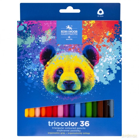 Kredki Triocolor Niedźwiedź 36 kolorów