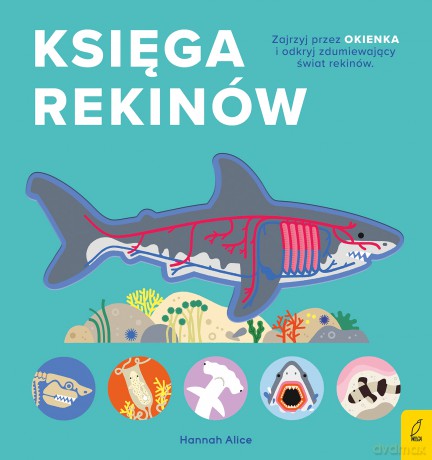 Księga rekinów. Encyklopedia z folią [KSIĄŻKA]