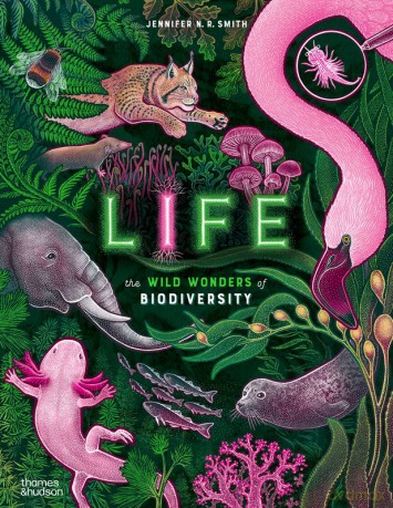Life wer. angielska - Jennifer N. R. Smith [KSIĄŻKA]