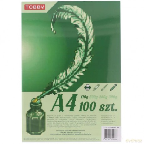 Papier Brystol A4 100 ark.170g